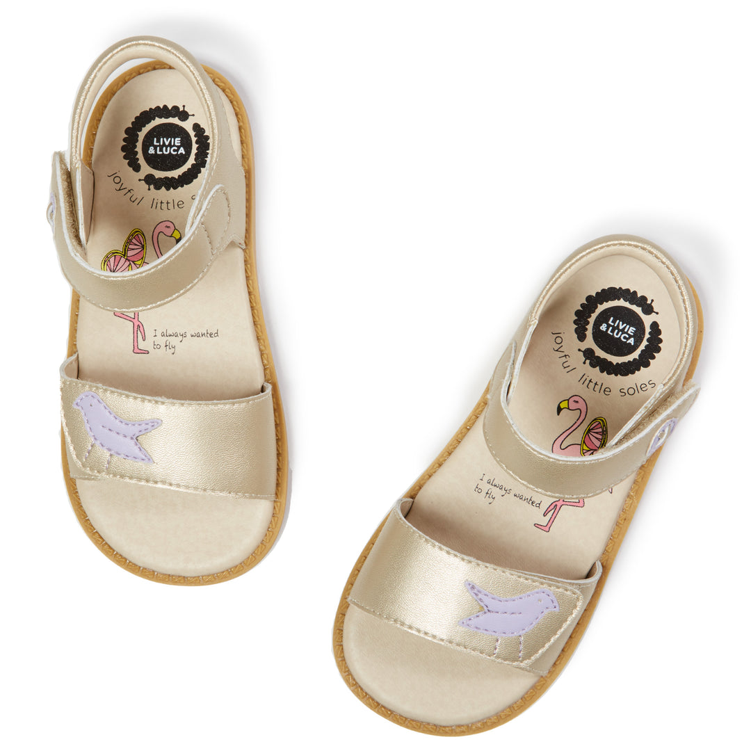 Champagne Sandals for Toddler and Youth Girls Livie Luca